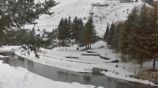 Rustic Inn Webcam – Jackson Hole, Wyoming