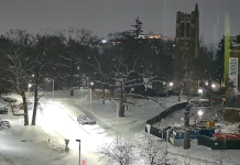 Michigan State Webcam