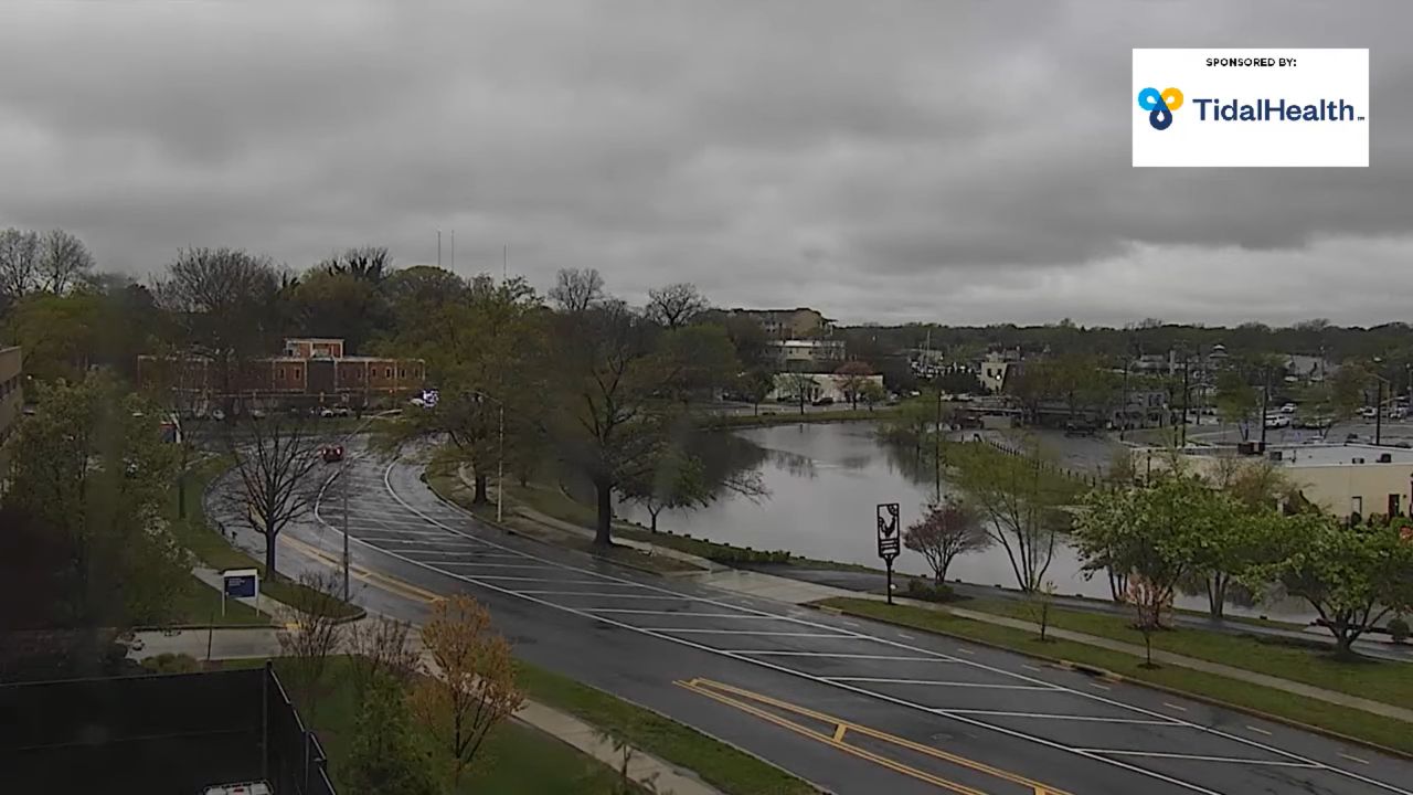 Live Webcam Downtown Salisbury, Maryland
