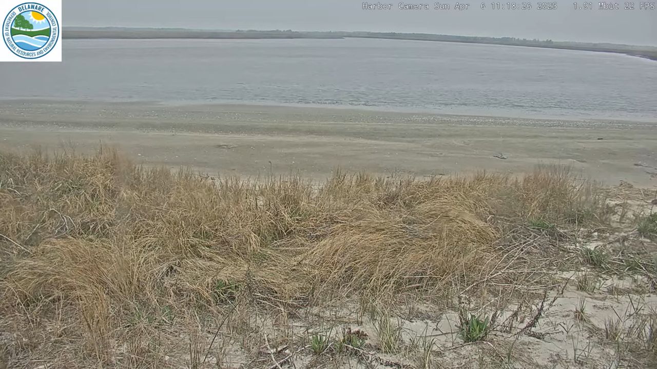 Mispillion River Live Webcam – Milford, Delaware