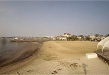 Higbee Beach Webcam