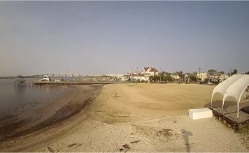 Higbee Beach Webcam