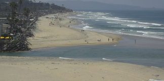 Del Mar Dog Beach Webcam - California, Usa