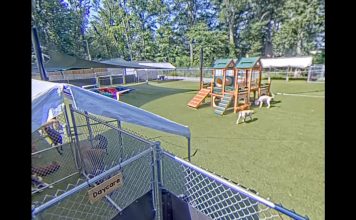 Dogwood Acres Webcam - Kent Island, Stevensville, Maryland