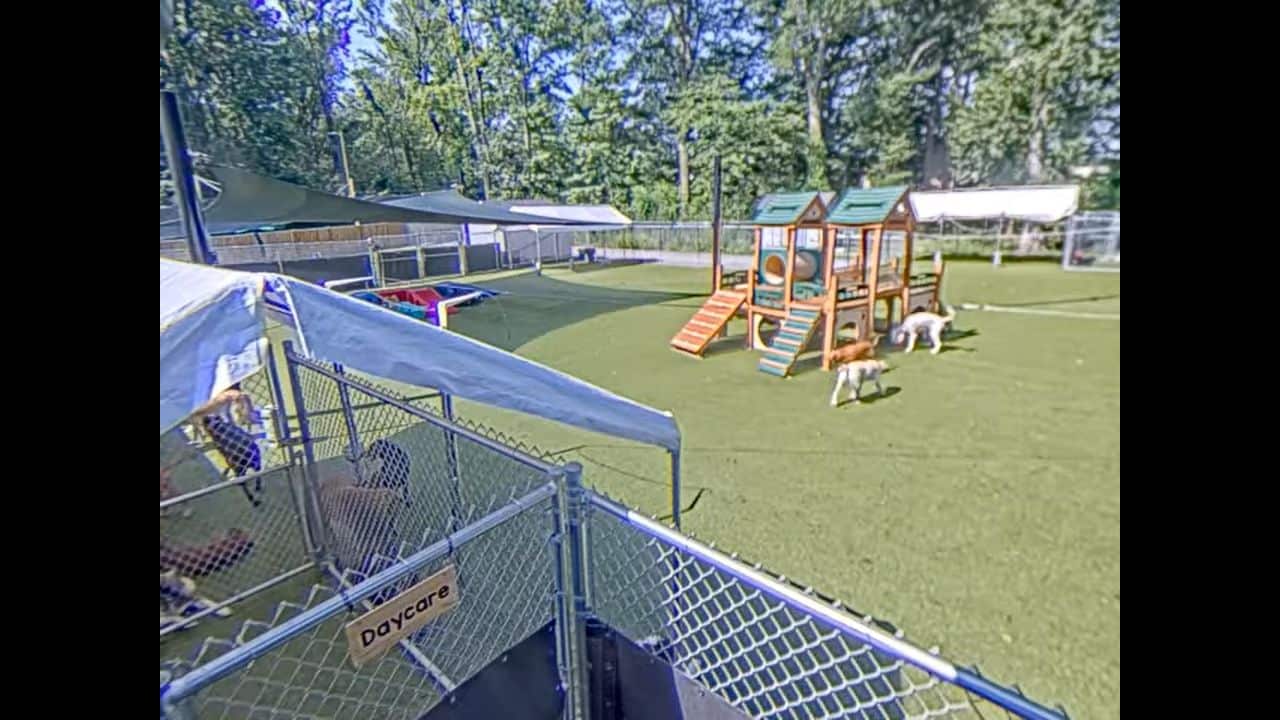 Dogwood Acres Webcam – Kent Island, Stevensville, Maryland