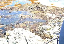 Live Webcam Halfway Rock Lighthouse - Casco Bay, Maine