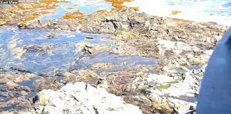 Live Webcam Halfway Rock Lighthouse - Casco Bay, Maine
