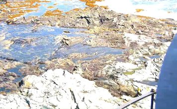 Live Webcam Halfway Rock Lighthouse - Casco Bay, Maine