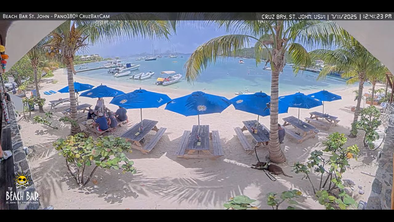 Live Webcam Honeymoon Beach – St John, USVI