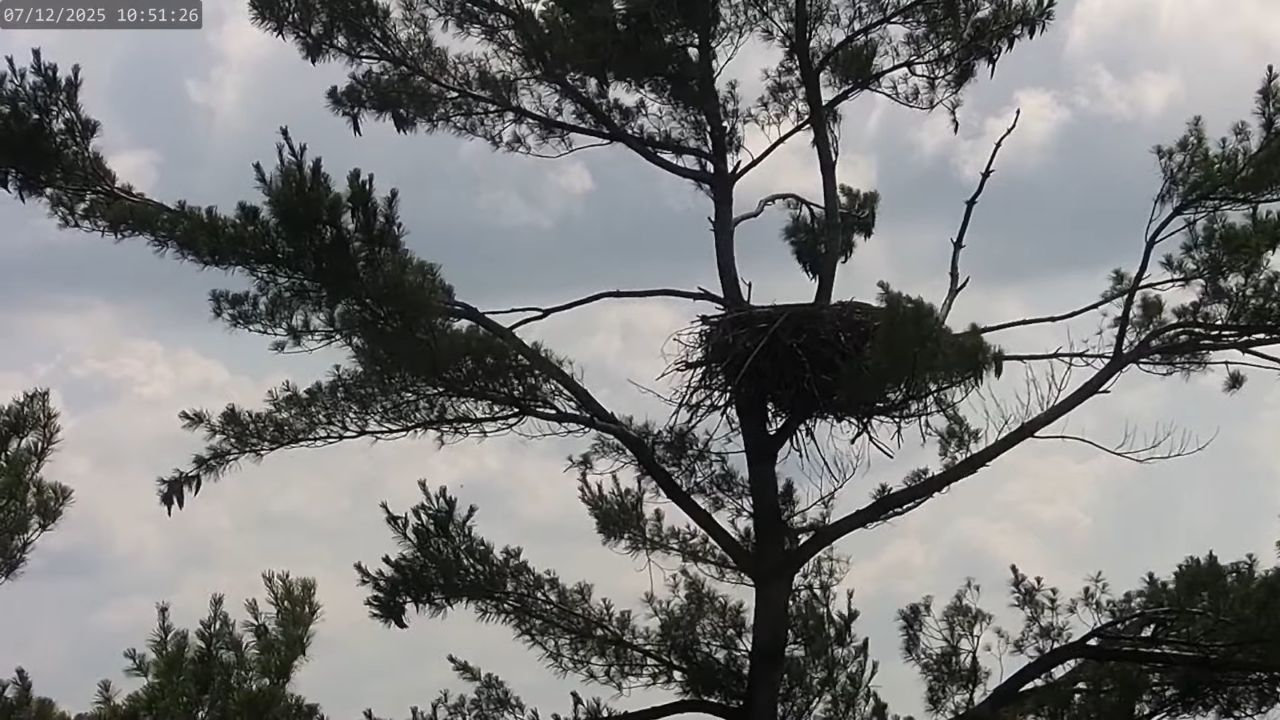 Live Webcam Lake Carmi – Franklin, Vermont