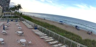 Live Webcam Nettles Island, Hutchinson Island, Fl
