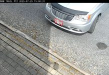 Live Webcam North Street - Old Forge, Ny