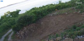 Live Webcam Peaks Island, Maine