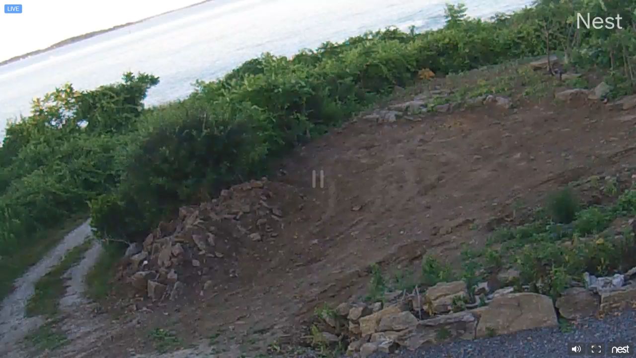 Live Webcam Peaks Island, Maine, USA