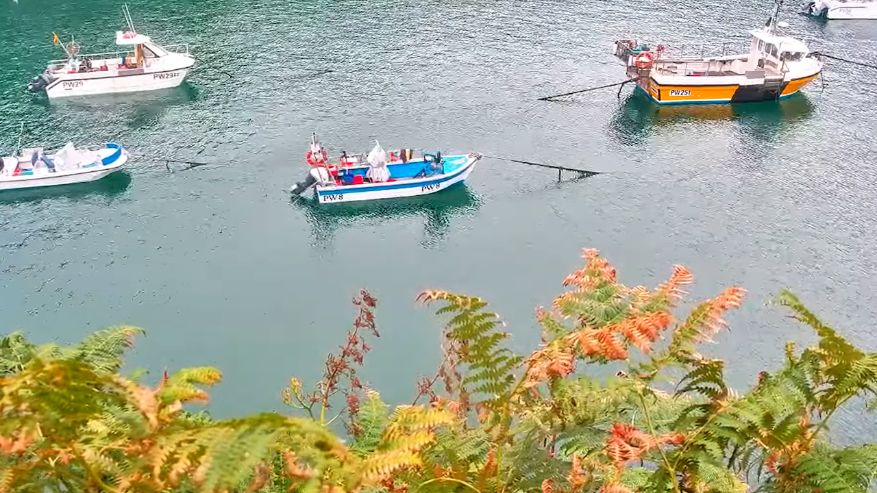 Live Webcam Port Isaac – The Old School Hotel