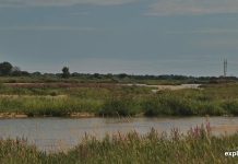 Rowe Sanctuary Webcam - Platte River - Gibbon, Nebraska