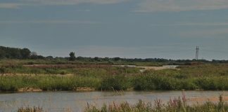 Rowe Sanctuary Webcam - Platte River - Gibbon, Nebraska
