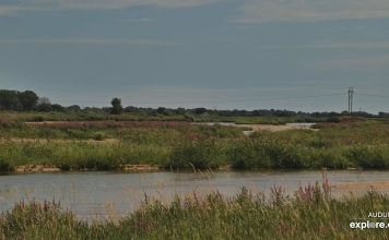 Rowe Sanctuary Webcam - Platte River - Gibbon, Nebraska