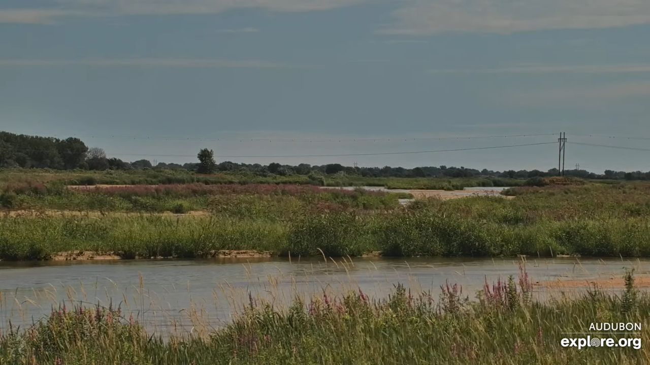 Rowe Sanctuary Webcam – Platte River – Gibbon, Nebraska