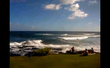 Live Video Kuhio Shores Webcam - Oceanfront Condos