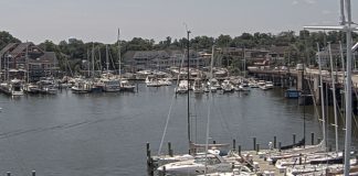 Annapolis City Dock Live Webcam - Spa Creek Marina