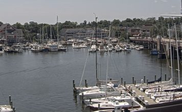 Annapolis City Dock Live Webcam - Spa Creek Marina