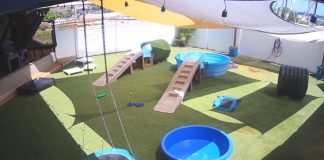 Tails Of Hawaii Live Webcam - Pearl City, Hawaii