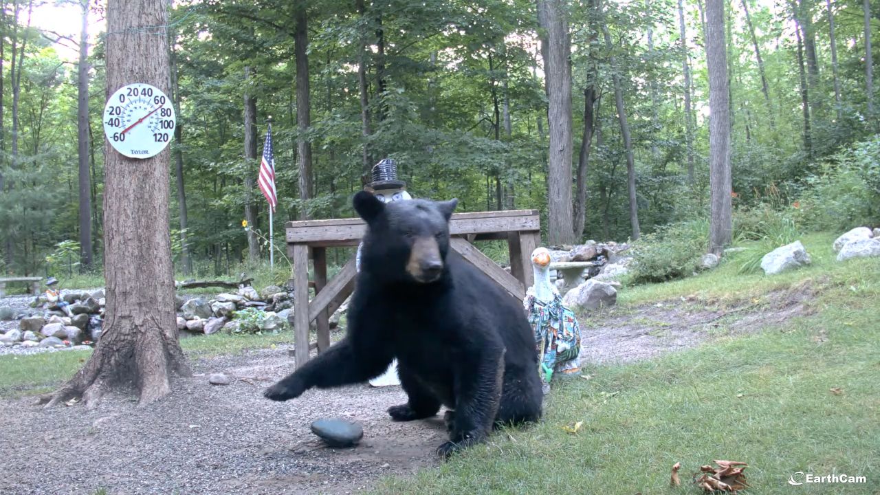Live Webcam Gaylord, Otsego County, MI – Snowman