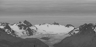 Live Webcam Homer, Alaska