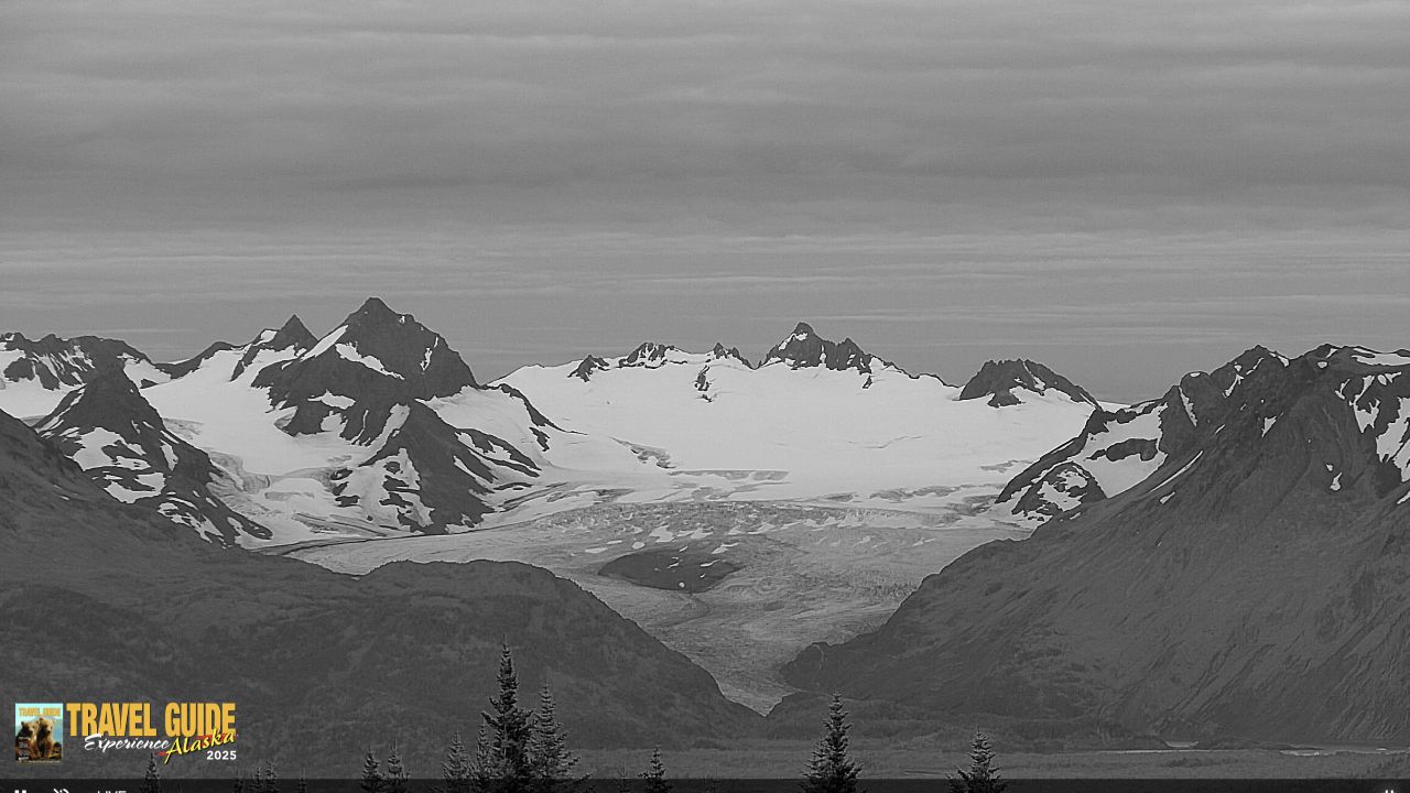 Live Webcam Homer, Alaska, USA