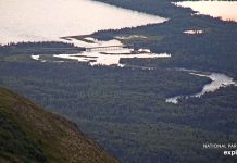 Live Webcam Katmai National Park - Dumpling Mountain