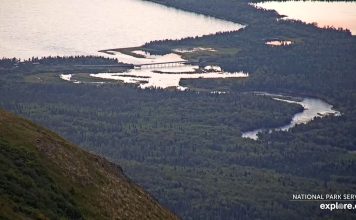 Live Webcam Katmai National Park - Dumpling Mountain