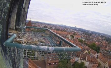 Live Webcam Nuremberg, Bavaria, Germany