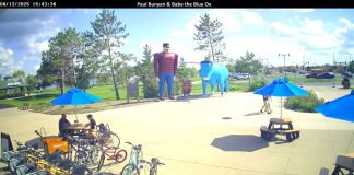 Live Webcam Paul Bunyan And Babe The Blue Ox