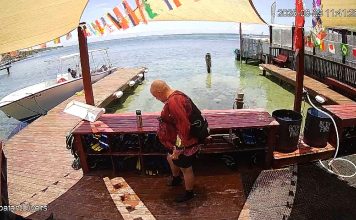 Live Webcam Roatan Divers - West End, Roatan, Bay Island
