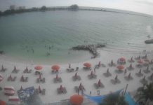 Live Webcam Winter The Dolphin Beach Club