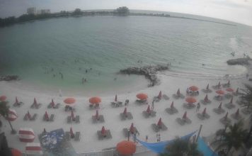 Live Webcam Winter The Dolphin Beach Club