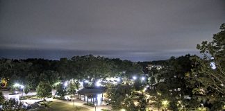 Downtown Cary Park Live Webcam - Nc, Usa