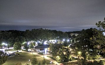 Downtown Cary Park Live Webcam - Nc, Usa