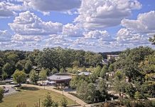 Downtown Cary Park Live Webcam - Nc, Usa