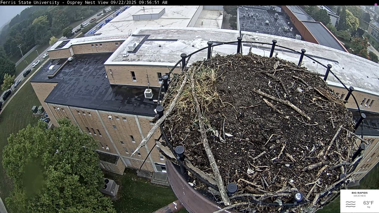 Ferris State University Osprey Webcam – Big Rapids, MI