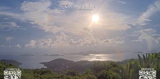 Live Webcam Coconuts Villa - Gifft Hill, St John, Usvi