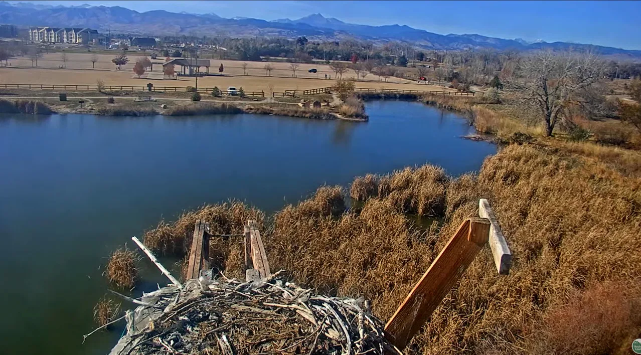 Boulder County Fairgrounds – Longmont, CO, USA