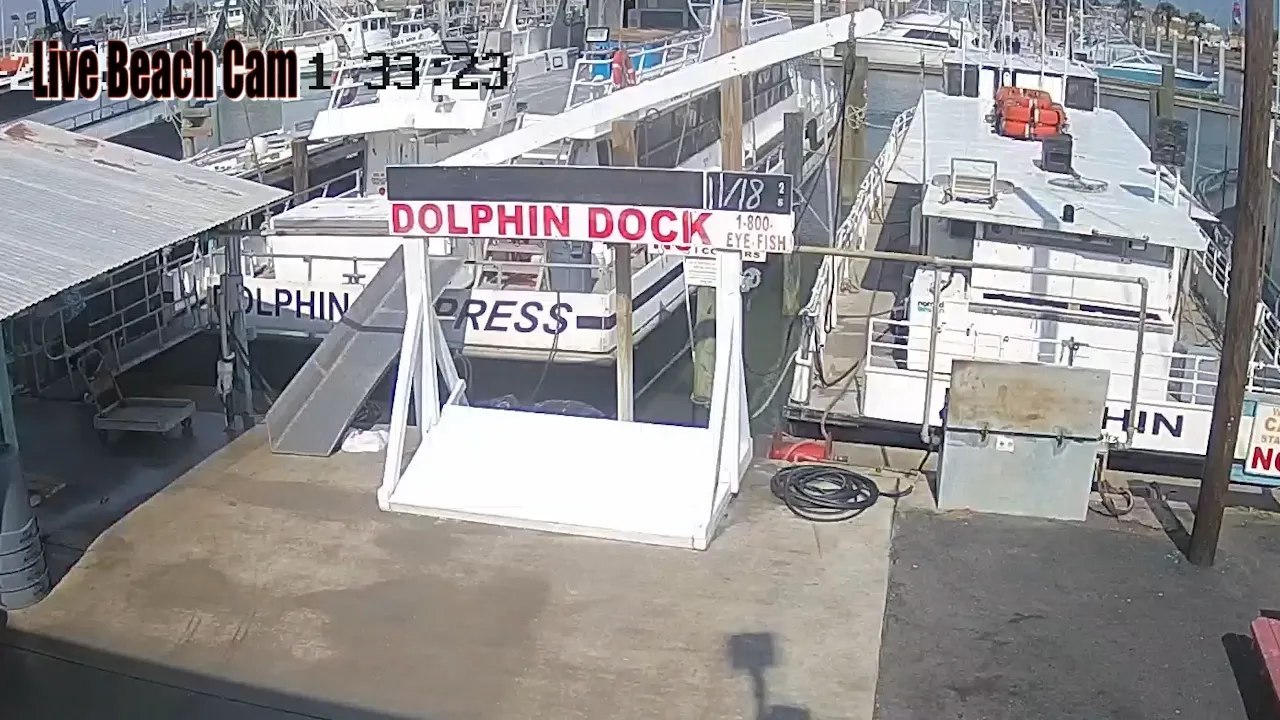 Dolphin Docks Live Webcam – Port Aransas, Texas