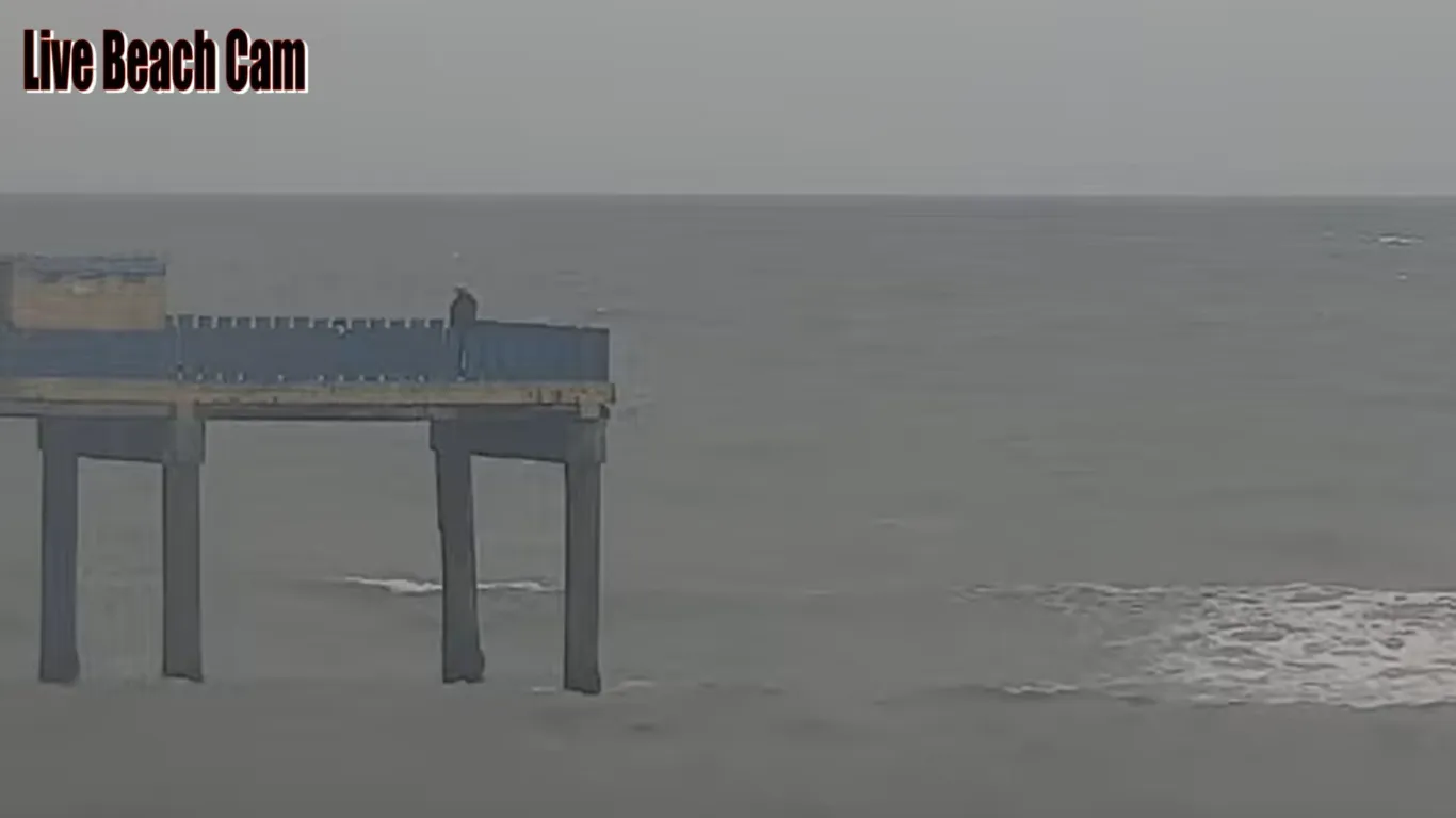 Live Webcam Balneário Rincão Beach -Santa Catarina