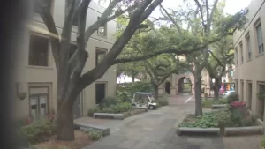 College of Charleston live webcams