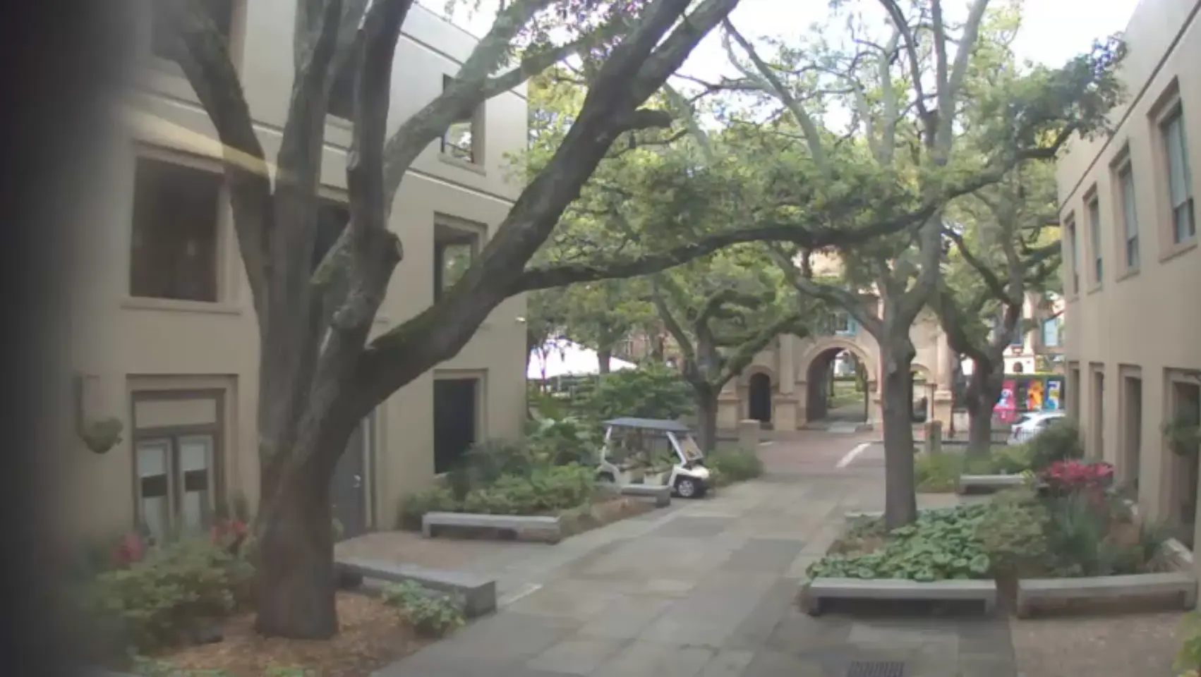 College of Charleston Live Webcams – South Carolina